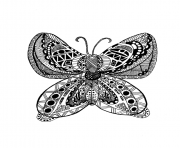 Coloriage adulte papillon zentangle celine 